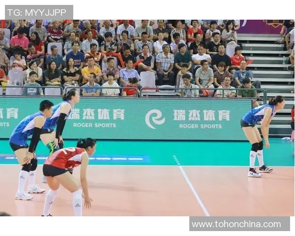 深圳排球队与上海排球队技术对抗的深度分析与赛后总结