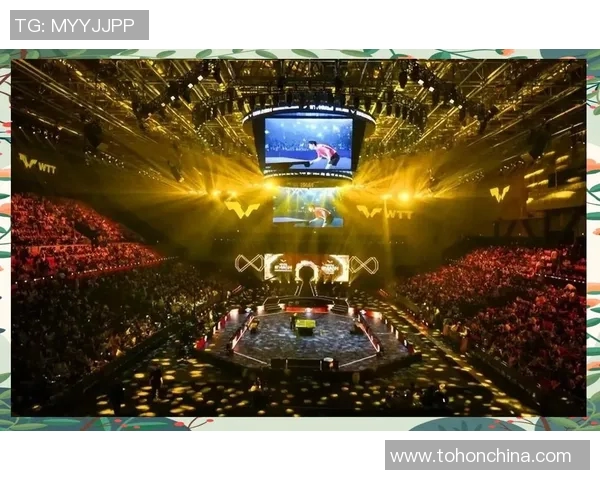 北京乒乓球队的拼搏历程与荣耀时刻深度揭秘